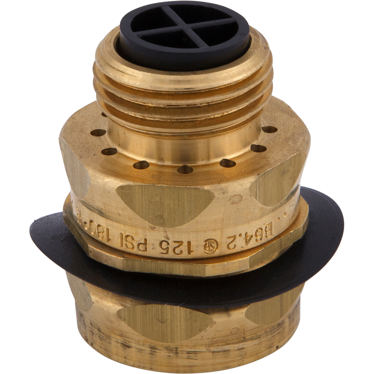 Vacuum Breaker Assembly Master Plumber